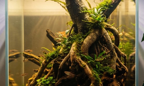 维生素b吃了有副作用吗网 - 吃维生素b尿酸会高吗?,吃维生素b族有副作用吗